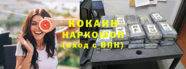 сатива Нязепетровск