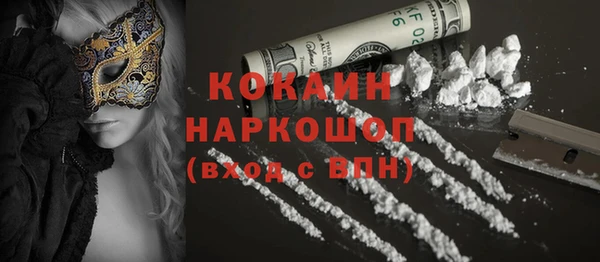 молекула духа Няндома