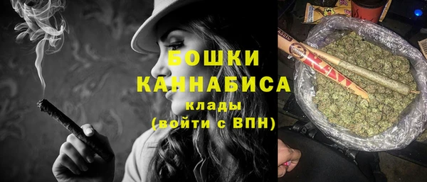 молекула духа Няндома