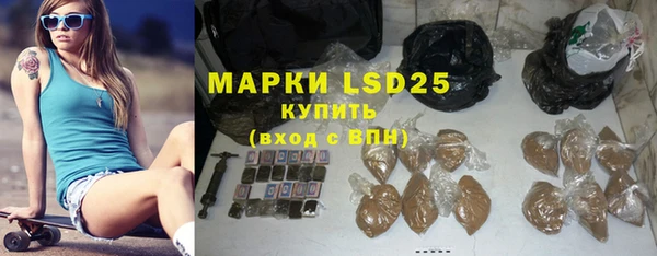 СК Новодвинск