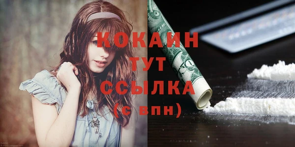 сатива Нязепетровск